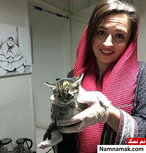 اخبار چهره ها اخبار هنرمندان