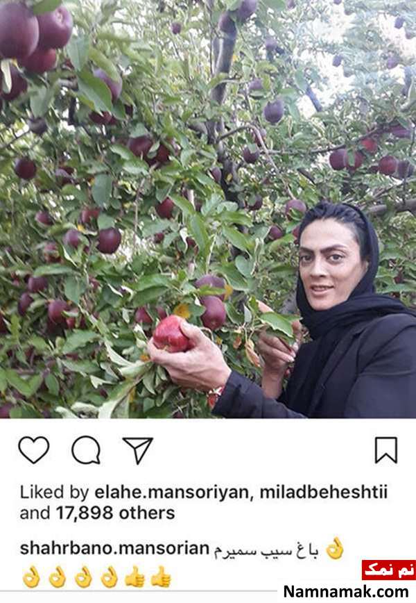 اخبار فرهنگی،اخبار هنرمندان،اخبار بازیگران اخبار فرهنگی،اخبار هنرمندان،اخبار بازیگران