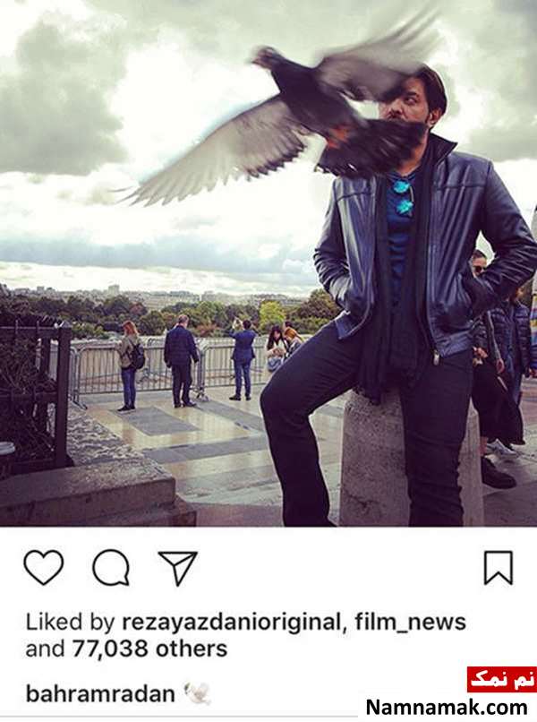 اخبار فرهنگی،اخبار هنرمندان،اخبار بازیگران اخبار فرهنگی،اخبار هنرمندان،اخبار بازیگران