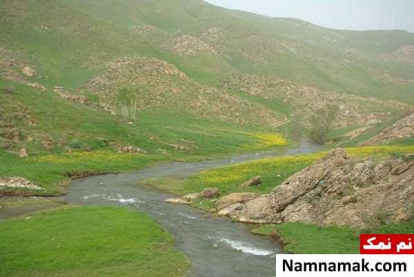 دیدنی های شهر ونک