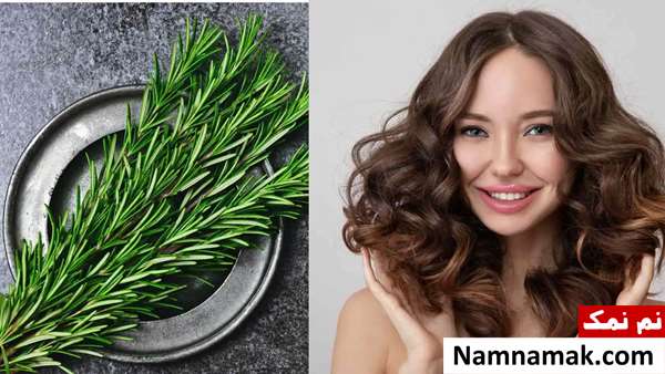 دمنوش و جوشانده رزماری