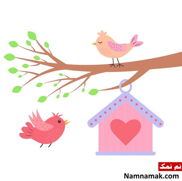 داستان و قصه کوتاه در مورد صدای پرندگان داستان و قصه کوتاه در مورد صدای پرندگان