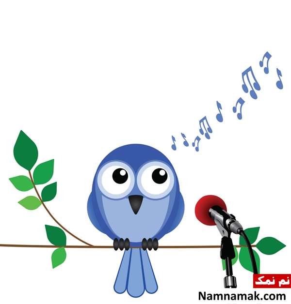 شعر در مورد صدای پرندگان