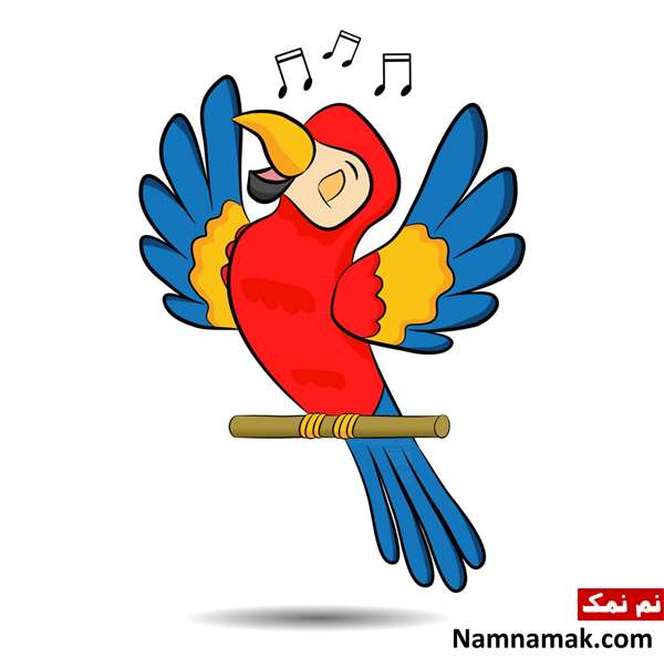 شعر در مورد صدای پرندگان