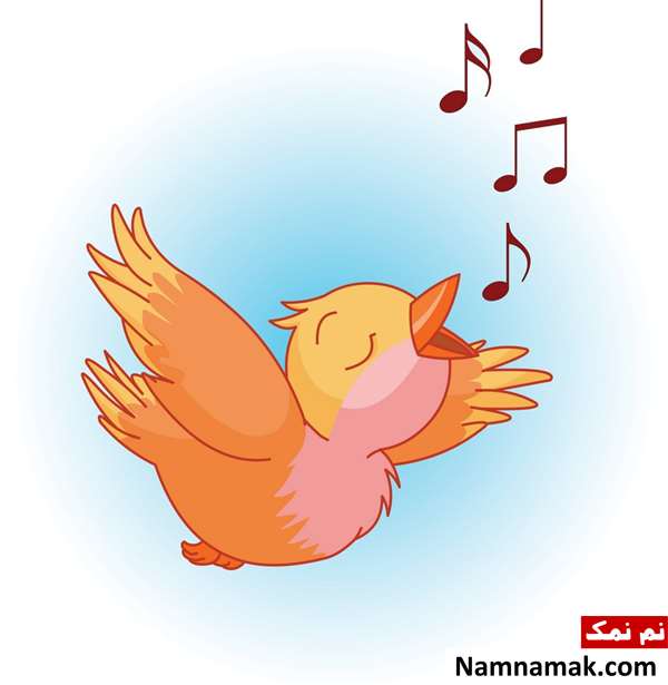 شعر در مورد صدای پرندگان