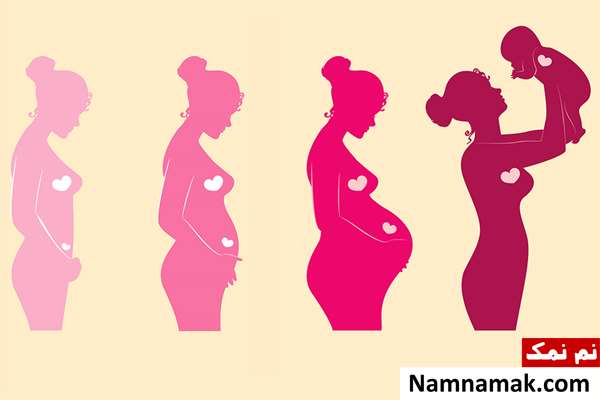 استروژن بالا در بارداری و تشخیص جنسیت جنین