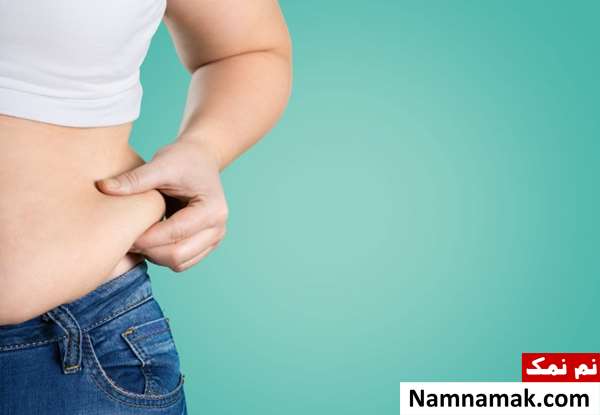 علت چاقی در دوران بلوغ چیست؟ علت چاقی در دوران بلوغ چیست؟