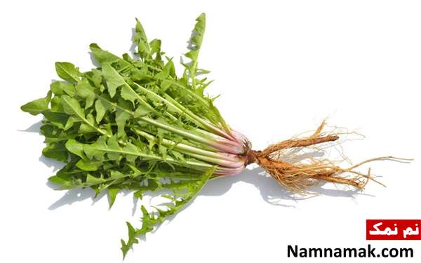 چاقی خانگی چاقی خانگی
