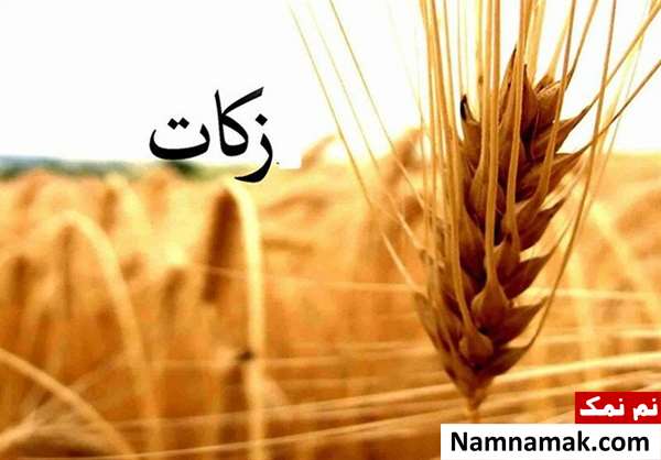 خمس و زکات