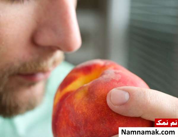 غذاهای مقوی برای مردان بعد از رابطه