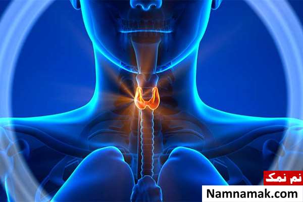 برای کم کاری تیروئید چه بخوریم؟
