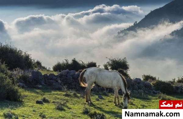 جاهای دیدنی فیلبند