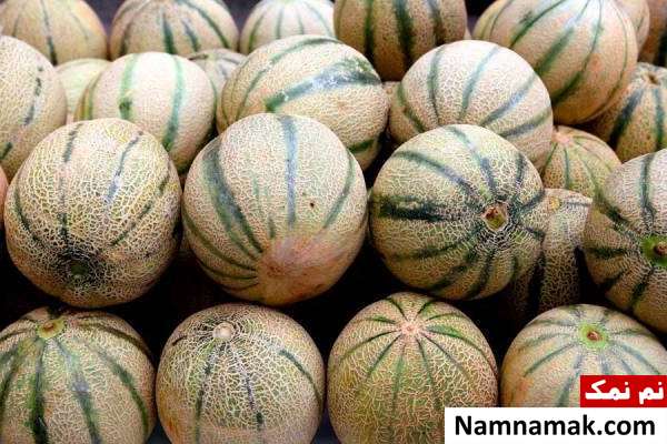کالری طالبی روش نگهداری طالبی و انتخاب طالبی شیرین