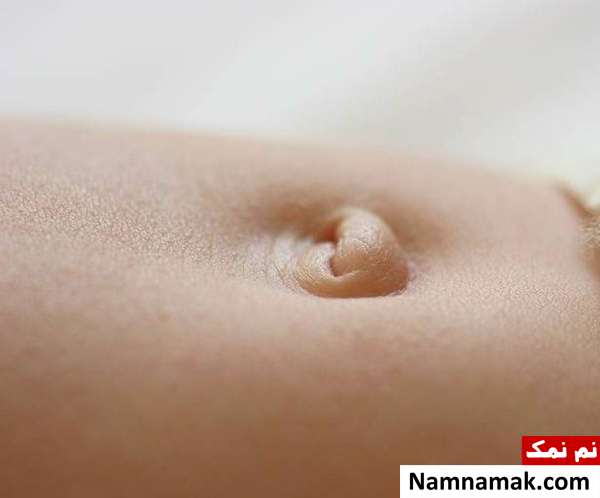 اعضای عجیب بدن انسان ویژگی های منحصر به فرد انسان