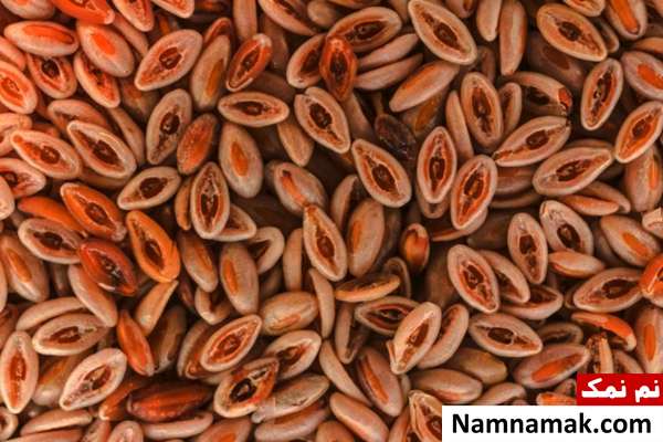 اسفرزه چیست ؟ اسفرزه برای دیابت