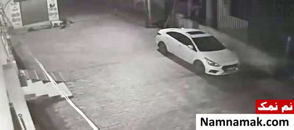 نجات کودک رها شده در فاضلاب توسط سگ های خیابانی نجات کودک رها شده در فاضلاب توسط سگ های خیابانی