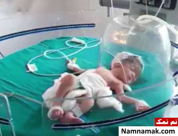 نجات کودک رها شده در فاضلاب توسط سگ های خیابانی نجات کودک رها شده در فاضلاب توسط سگ های خیابانی
