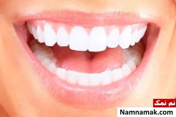 سلول های بنیادی برای دندان ها