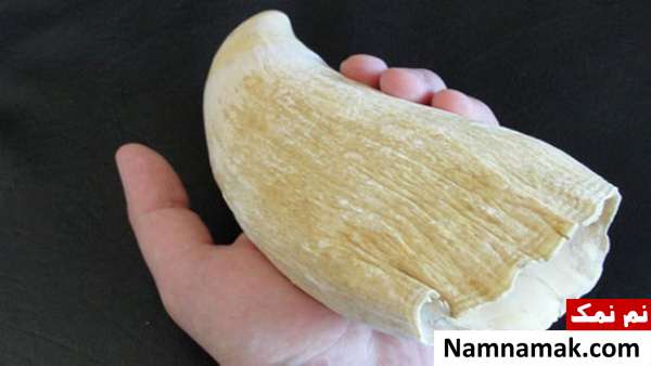 سنت های جالب شب زفاف در دنیا + تصاویر