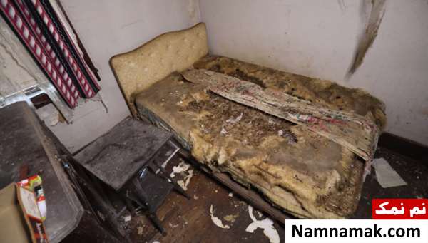 خورده شدن وحشتناک زن 80 ساله در خانه خورده شدن وحشتناک زن 80 ساله در خانه