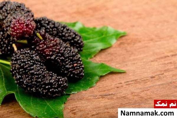 فواید توت سیاه توت سیاه برای لاغری و خواص توت سیاه برای دیابت