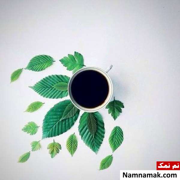 دمنوش توت سیاه ریشه توت سیاه و دمنوش برگ توت