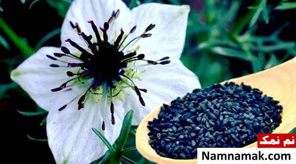 خواص سیاه دانه درمان گیاهی عفونت میکروبی معده