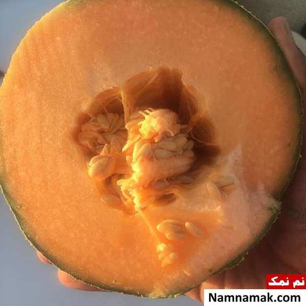 خواص و فواید میوه جانا خواص و فواید میوه جانا و عوارض میوه جانا