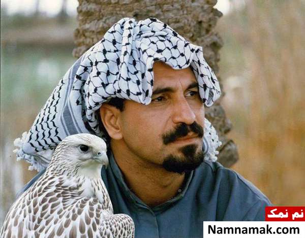 حمید فرخ نژاد حمید فرخ نژاد در روزگار جوانی