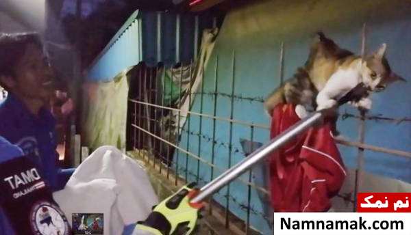 لحظه نجات گربه گیر افتاده