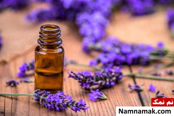 روغن اسطوخودوس روغن گیری اسطوخودوس در خانه