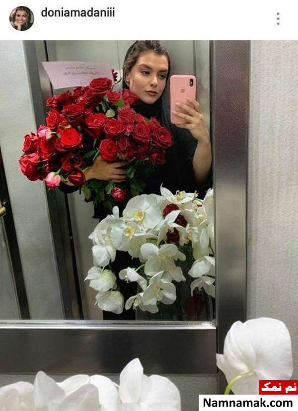 دنیا مدنی سلفی آسانسوری دنیا مدنی