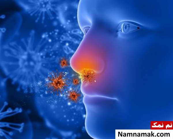 فواید موی بینی علت موهای بینی