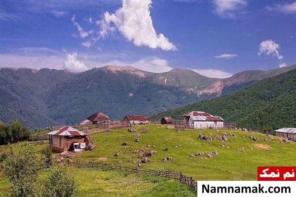 گیاهان دارویی سوباتان