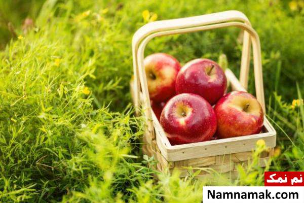 خواص سیب برای تقویت سیستم ایمنی بدن
