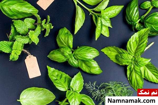 پیشگیری از بوی بد دهان