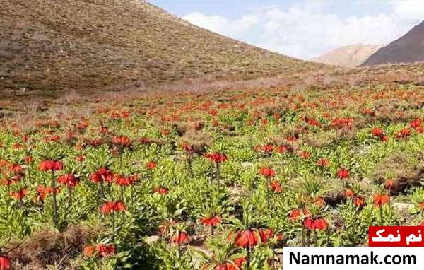 روستای دره بید فریدن اصفهان 