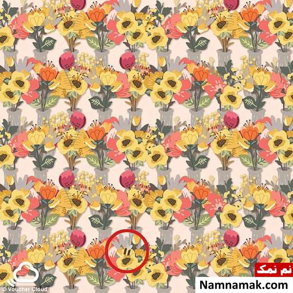 تصاویری رمزآلود که توانایی های ذهنی شما را محک می زند تصاویری رمزآلود که توانایی های ذهنی شما را محک می زند