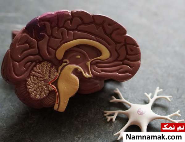 بررسی مصرف مرفین و تریاک برای آلزایمر بررسی مصرف مرفین و تریاک برای آلزایمر