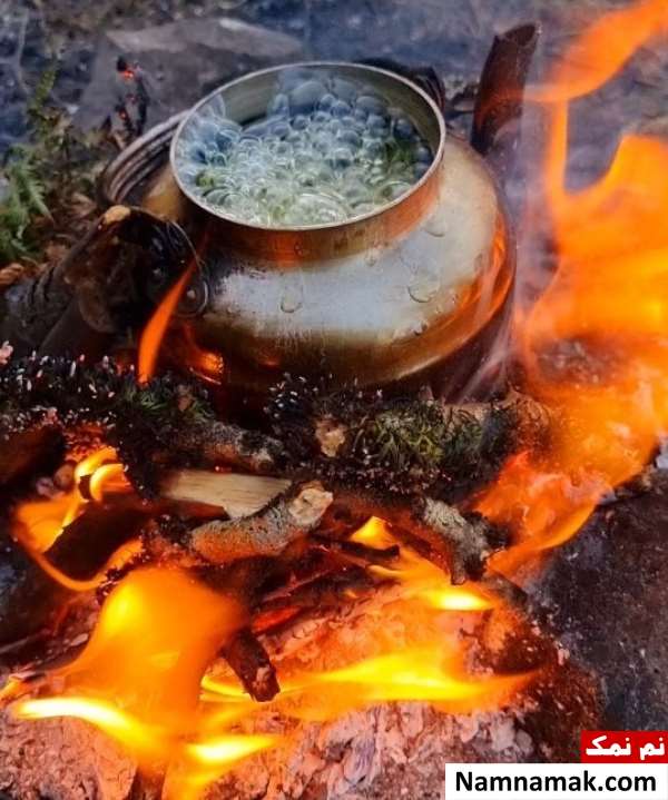 برررسی فواید گل کوفته برای رحم زنان