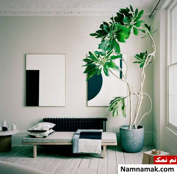 پر کردن گوشه خالی خانه با گلدان