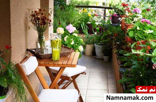 نگهداری گیاهان در خانه باغبانی در بالکن و پرورش گیاه در بالکن