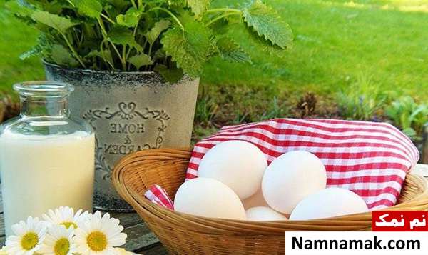 رژیم hcg درباره هورمون اچ سی جی