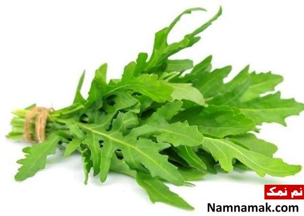 تمام مزایای آروگولا برای بدن