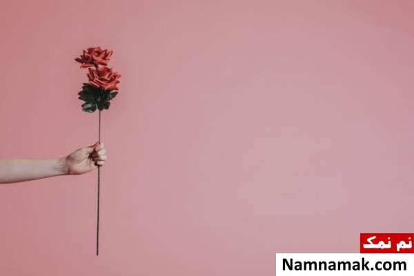 دادن گل به همسر هدیه مناسب برای خانمها