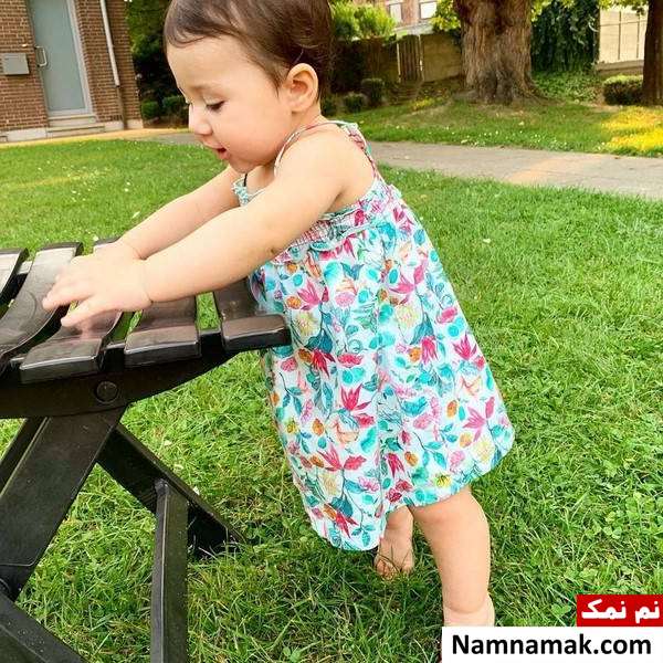 دختر شاهرخ استخری نبات دختر شاهرخ استخری