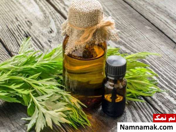 روغن افسنطین فواید روغن گیاه افسنطین