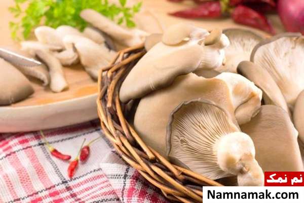 فواید قارچ صدفی قارچ صدفی برای تغذیه جنین