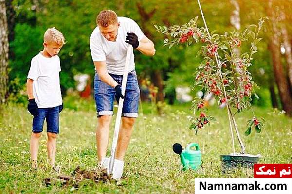 تاثیرات باغبانی فواید باغبانی در کاهش هزینه