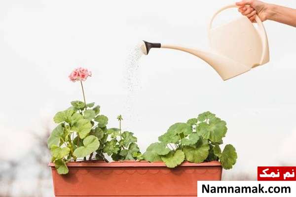 روش های صرفه جویی در آب آبیاری مناسب باغچه ها